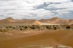 Tag 4, Namib Rand - Naukluft Tag 4, Namib Rand - Naukluft
