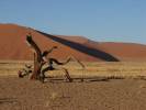 Tag 6- Namib Rand Geröll, & Wüste<br/> (ca. 345 km / 5 St)