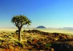 4.Tag / Südliche Namib