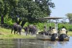Tag 5, Insel im Chobe Fluss